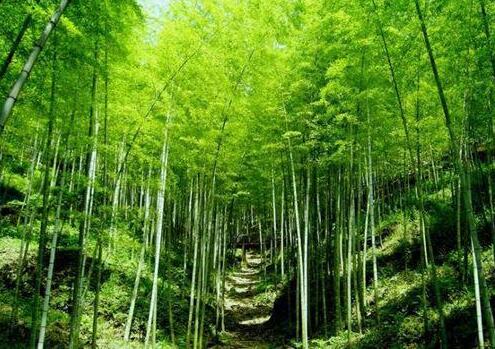 人少景美！五一小長(cháng)假最適合出游的的當地