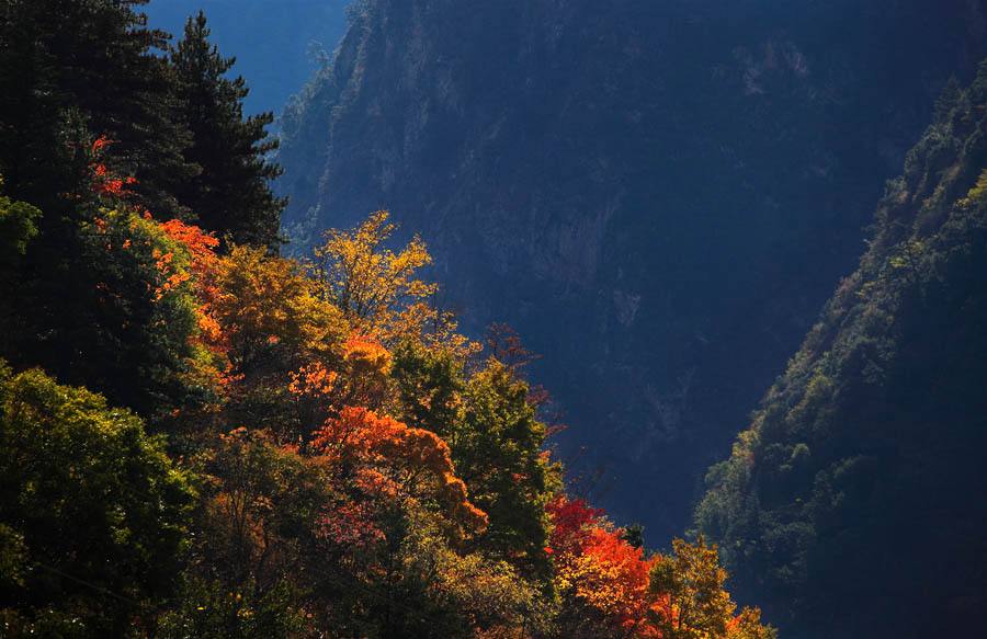 【川藏線(xiàn)旅行租車(chē)】最終的米亞羅，真實(shí)的彩林天堂